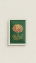 Marigold Seeds Fragrant Orange Heirloom