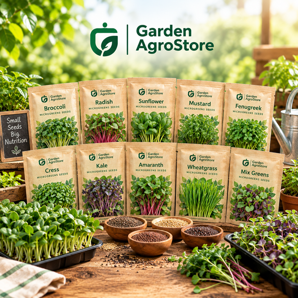 MicroGreen Seeds