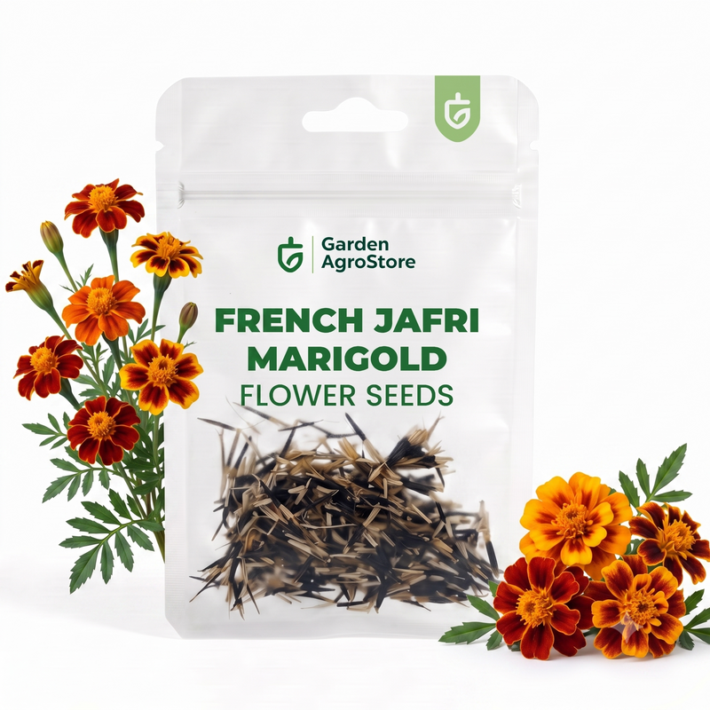 French Jafri Marigold Flower Seeds - 325 Seeds per Packet