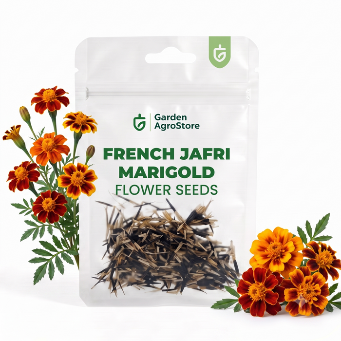 French Jafri Marigold Flower Seeds - 325 Seeds per Packet