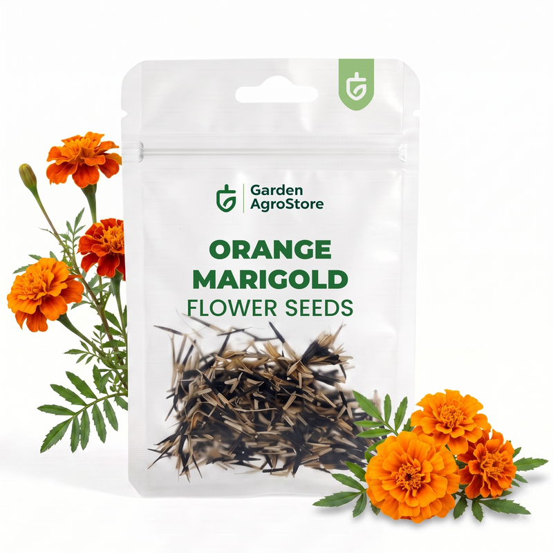 Orange Marigold Flower Seeds - 325 Seeds per Packet