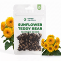 Sunflower Teddy Bear Flower Seeds - 150 Seeds per Packet