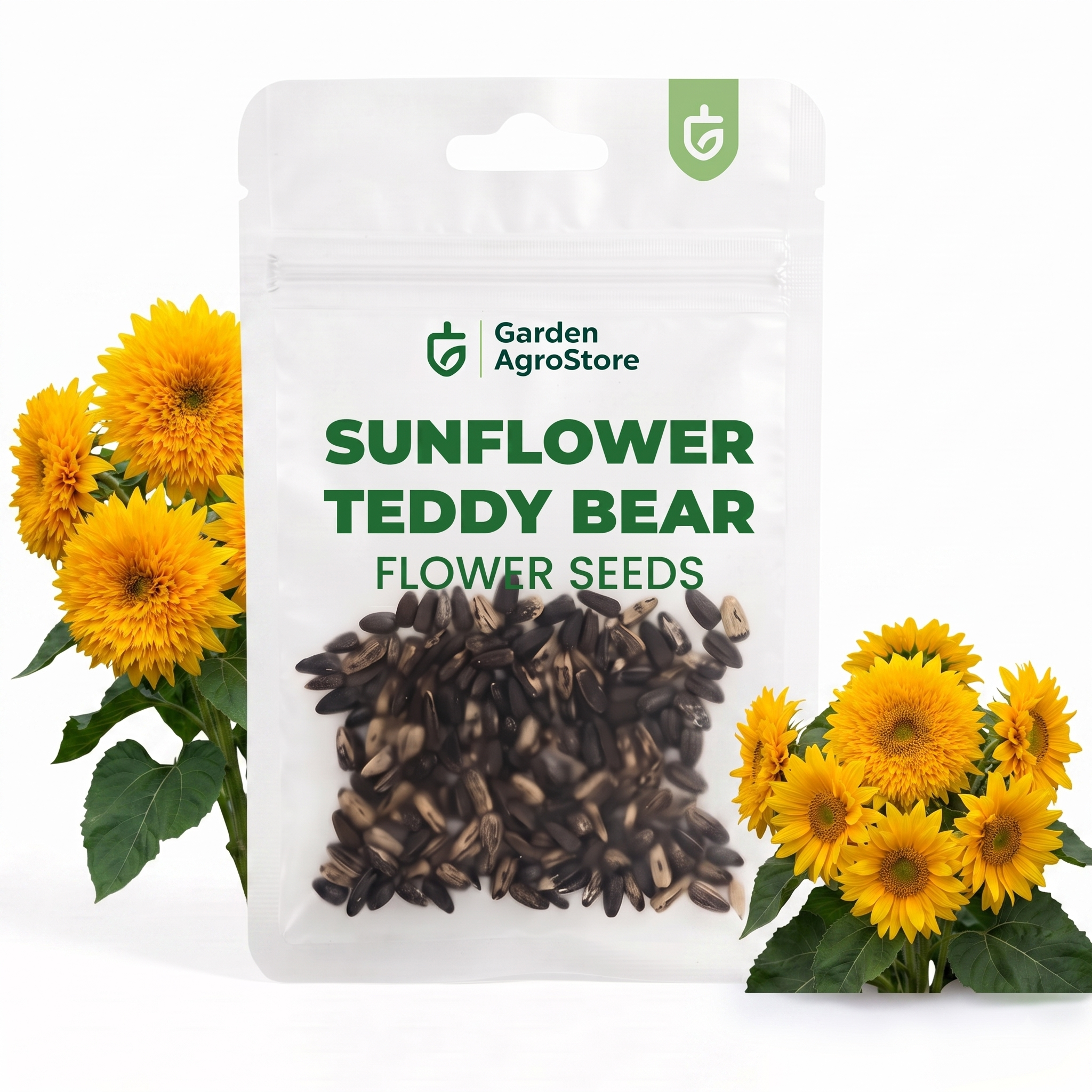 Sunflower Teddy Bear Flower Seeds - 150 Seeds per Packet