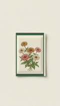 Zinnia Seeds Long-Blooming Jewel Mix
